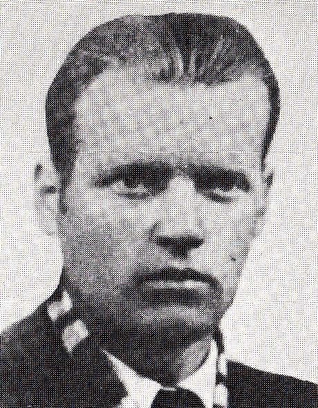 Stefančič, Henrik